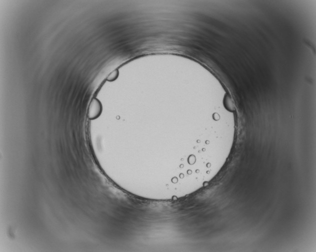 X0000103470909200810241010