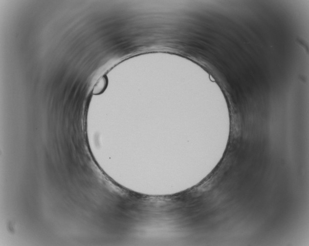 X0000103470910200810241010