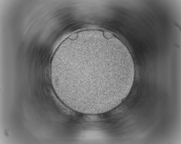 X0000103470911200810241010