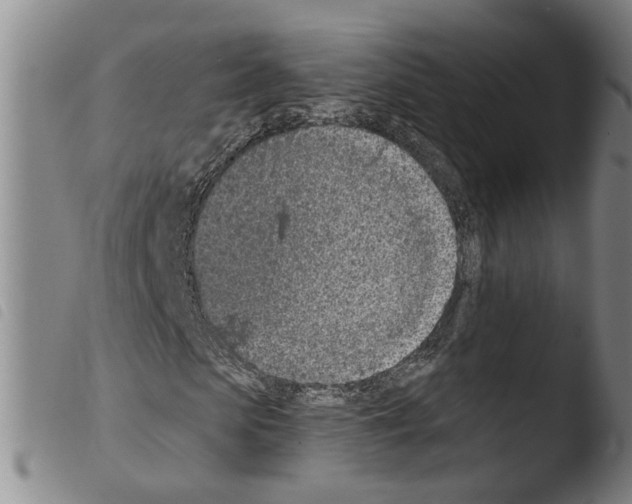 X0000103470913200810241010