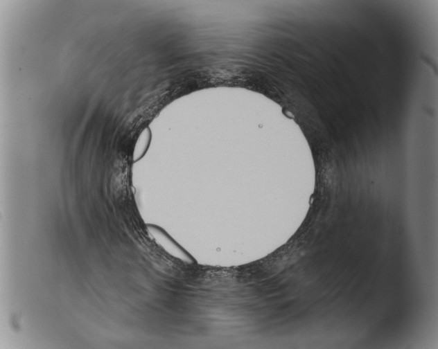 X0000103470914200810241010