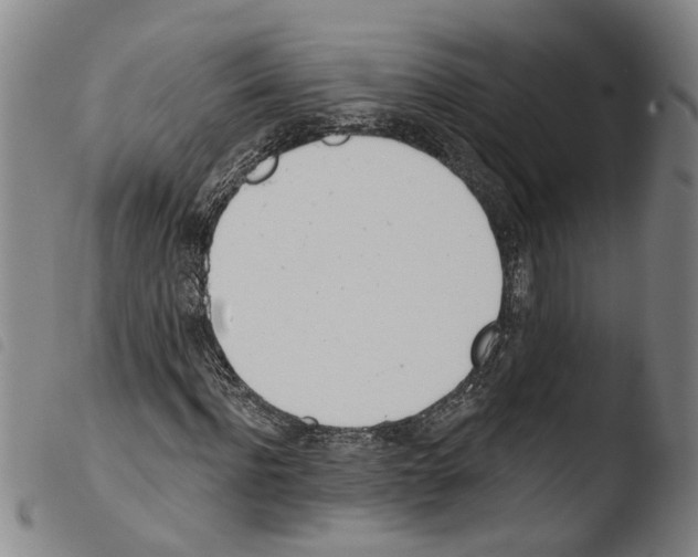 X0000103470916200810241010