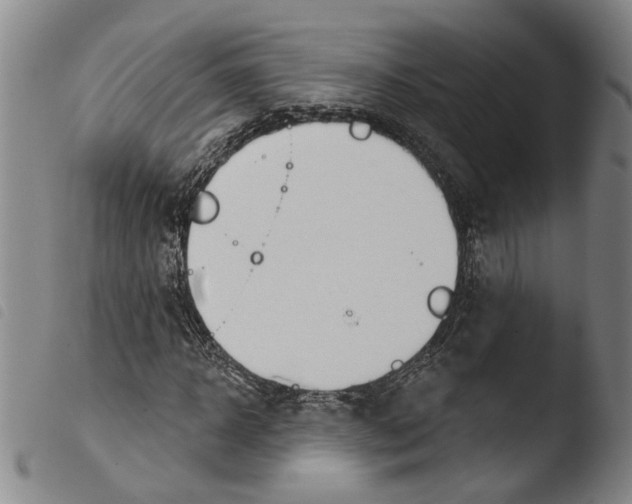 X0000103470918200810241010