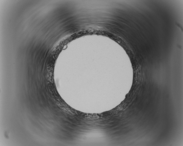 X0000103470919200810241010
