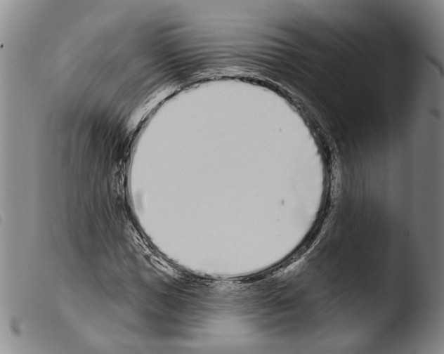 X0000103470921200810241010