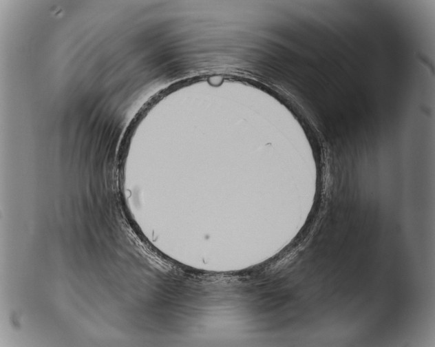 X0000103470924200810241010