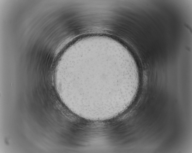 X0000103470925200810241010