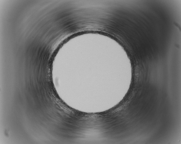 X0000103470926200810241010
