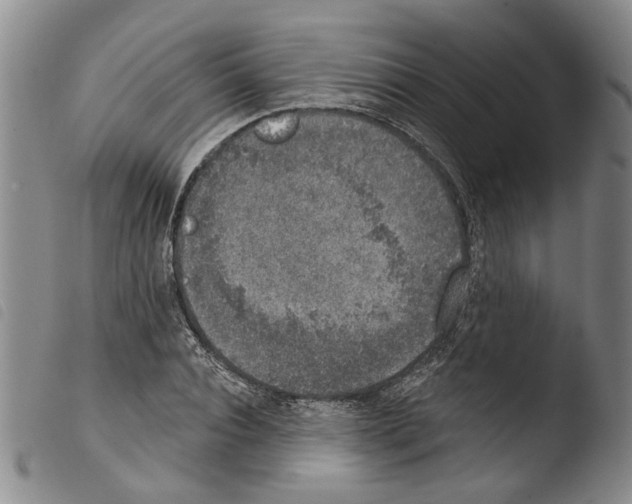 X0000103470928200810241010