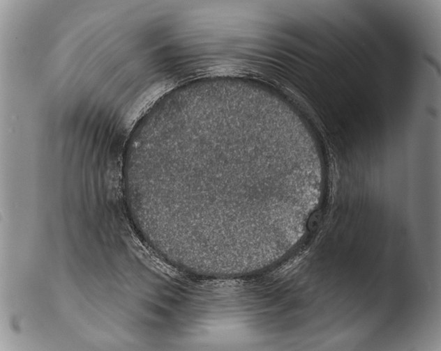 X0000103470930200810241010