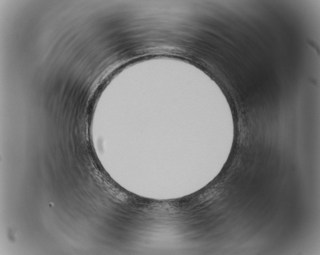 X0000103470931200810241010