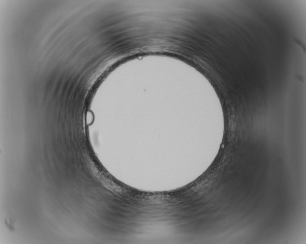 X0000103470934200810241010