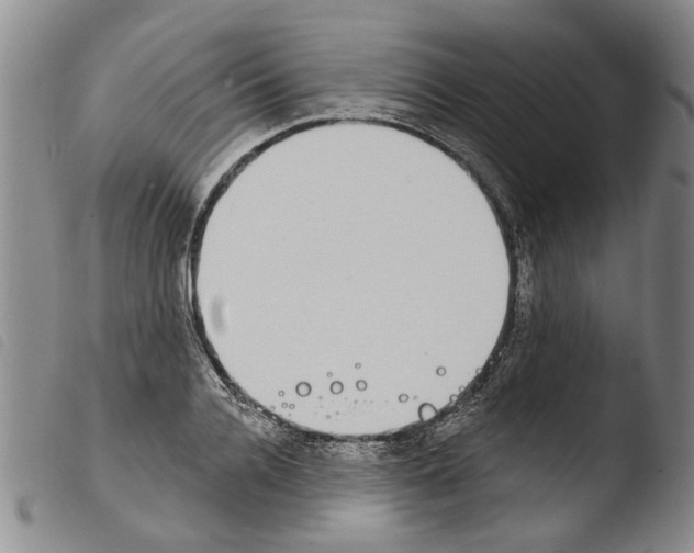 X0000103470936200810241010