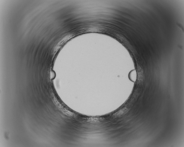 X0000103470938200810241010