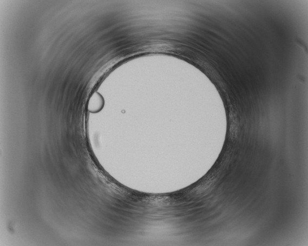 X0000103470939200810241010