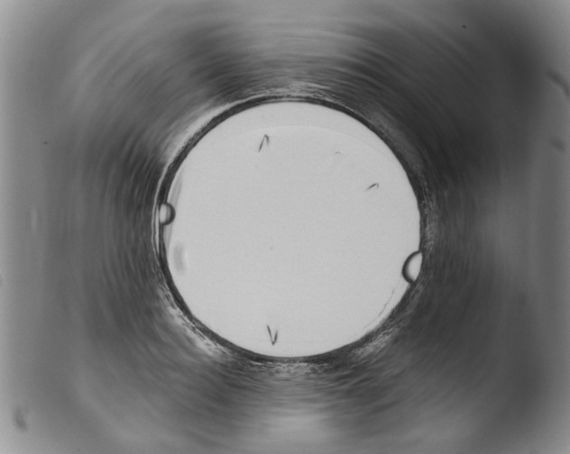 X0000103470940200810241010