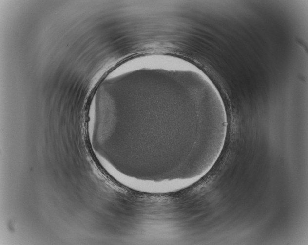 X0000103470941200810241010