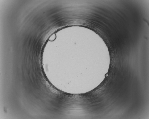 X0000103470942200810241010