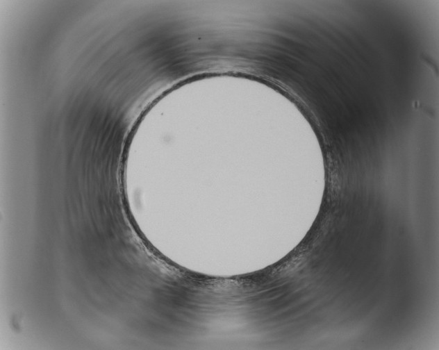 X0000103470943200810241010