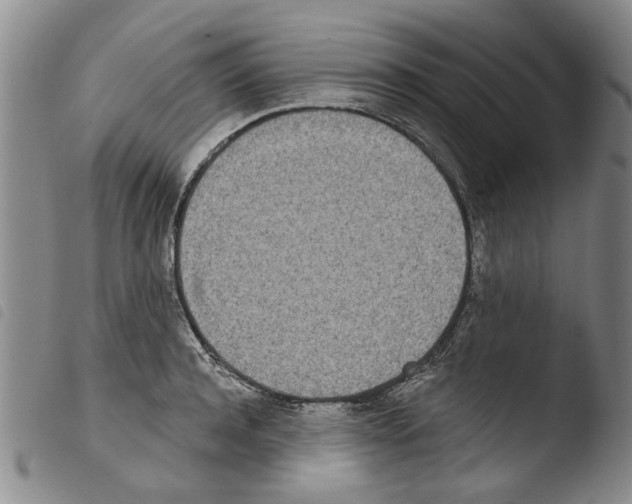 X0000103470944200810241010