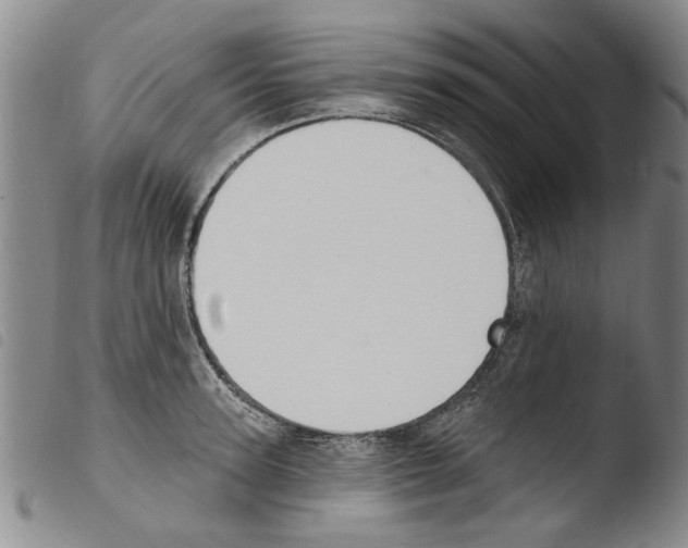 X0000103470947200810241010