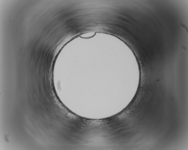 X0000103470949200810241010