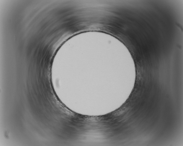 X0000103470950200810241010