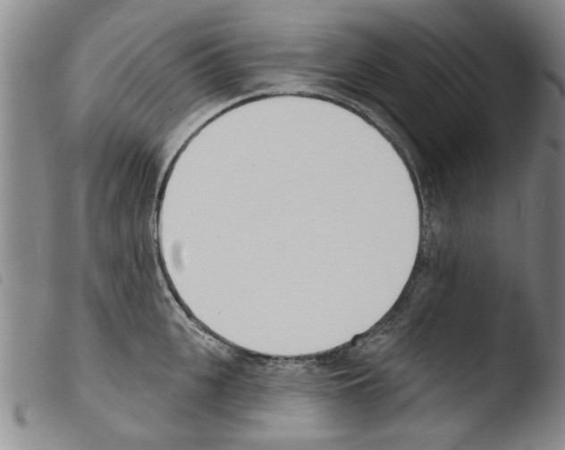 X0000103470951200810241010