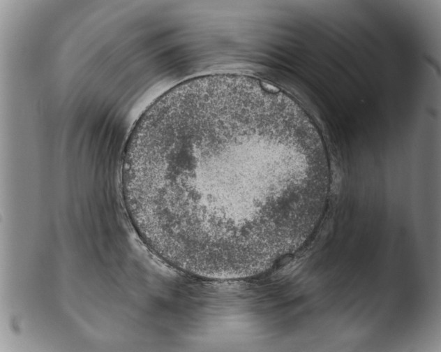 X0000103470952200810241010