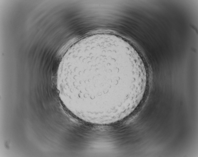 X0000103470953200810241010