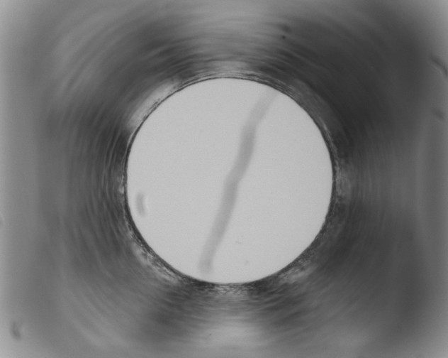 X0000103470954200810241010