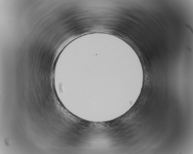 X0000103470955200810241010