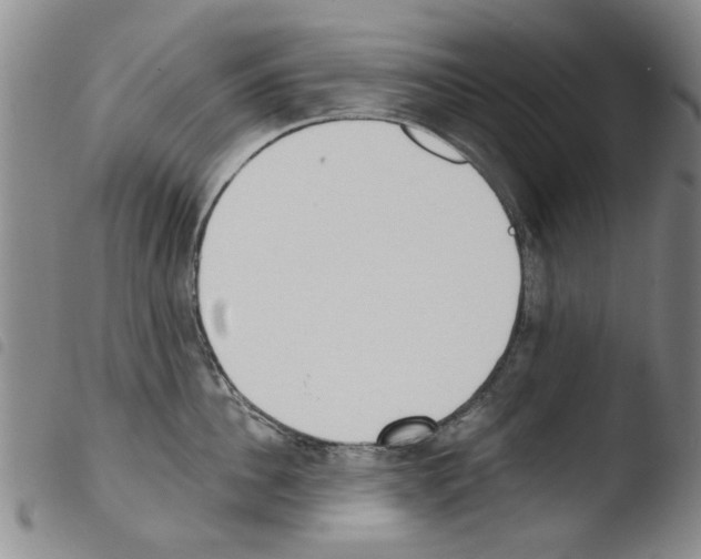 X0000103470956200810241010