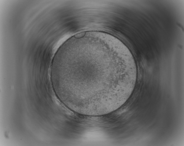 X0000103470958200810241010