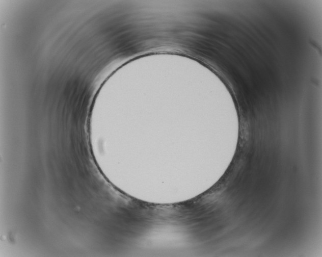 X0000103470959200810241010