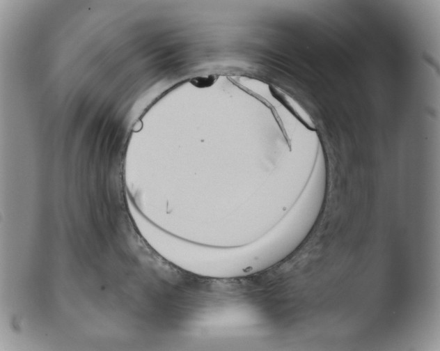 X0000103470960200810241010