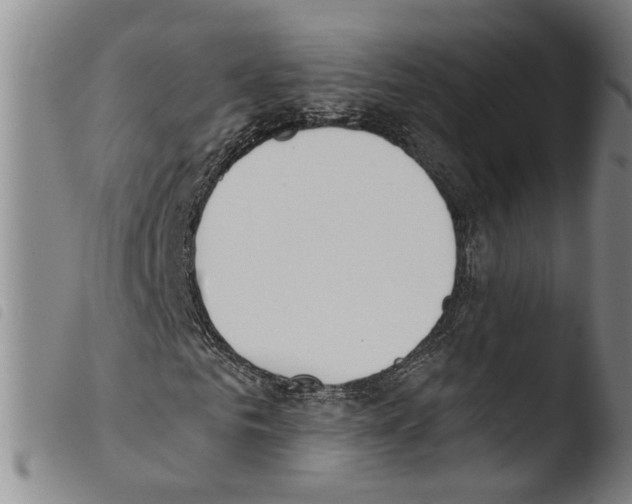 X0000103470961200810241010