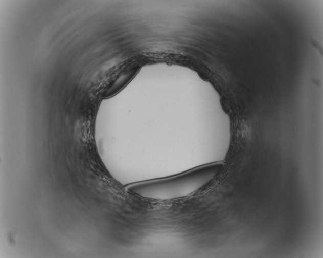 X0000103470965200810241010