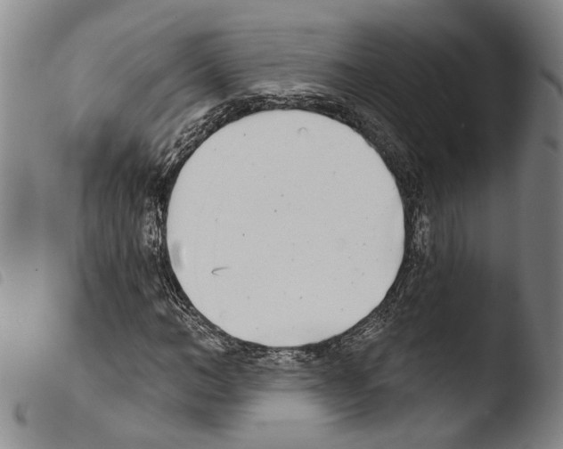 X0000103470966200810241010