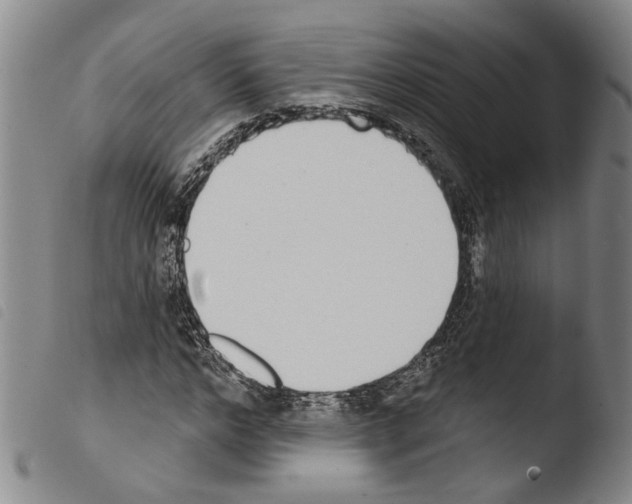 X0000103470968200810241010
