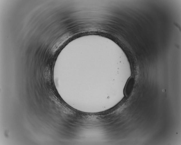 X0000103470969200810241010