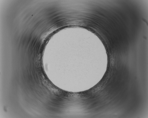 X0000103470971200810241010