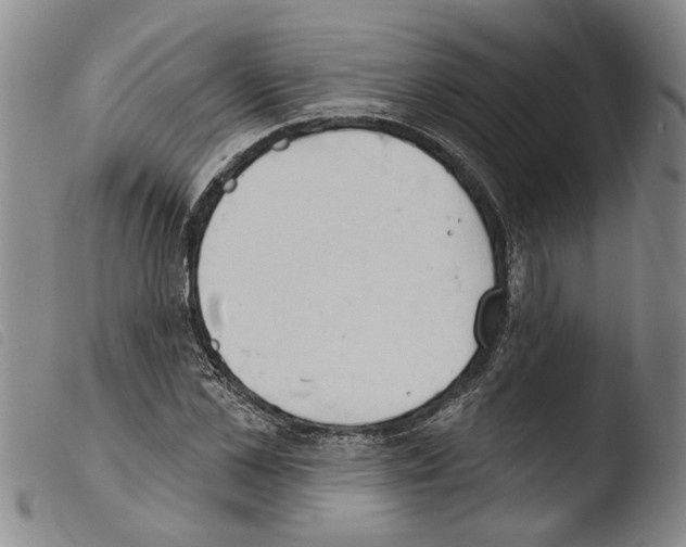 X0000103470973200810241010