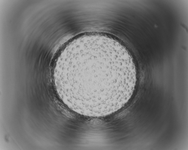 X0000103470974200810241010