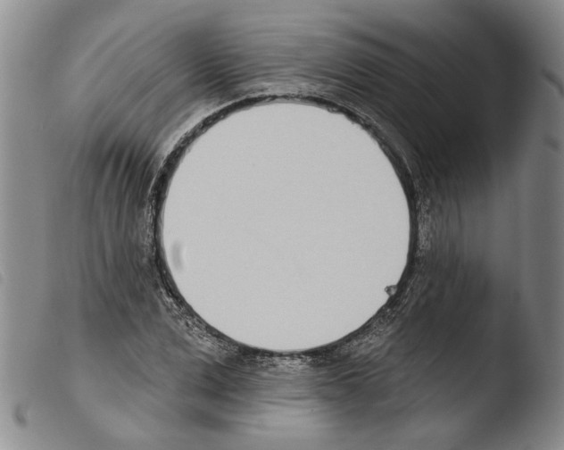 X0000103470975200810241010