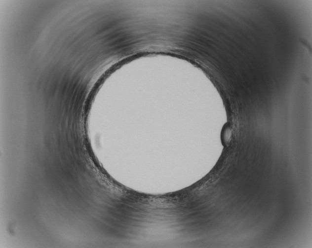 X0000103470976200810241009