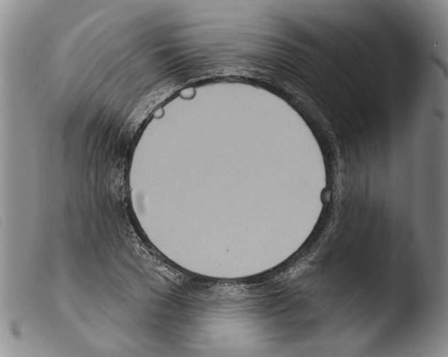 X0000103470977200810241009