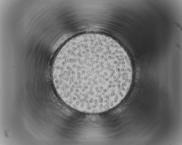 X0000103470978200810241009