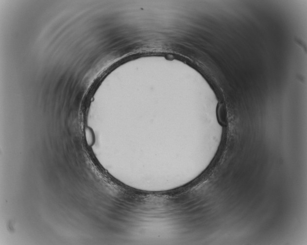 X0000103470981200810241009