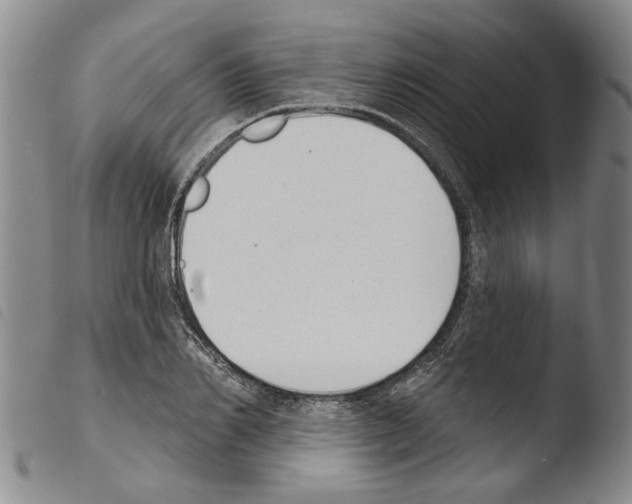 X0000103470982200810241009